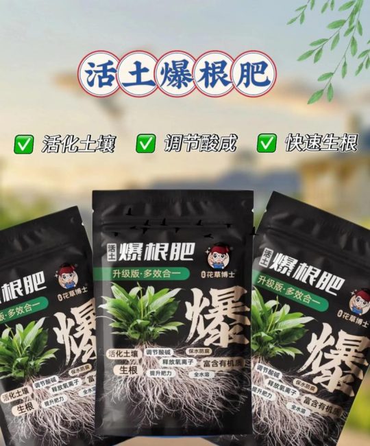植物壮根用什么肥料？六个养护环节帮你养出强健根系