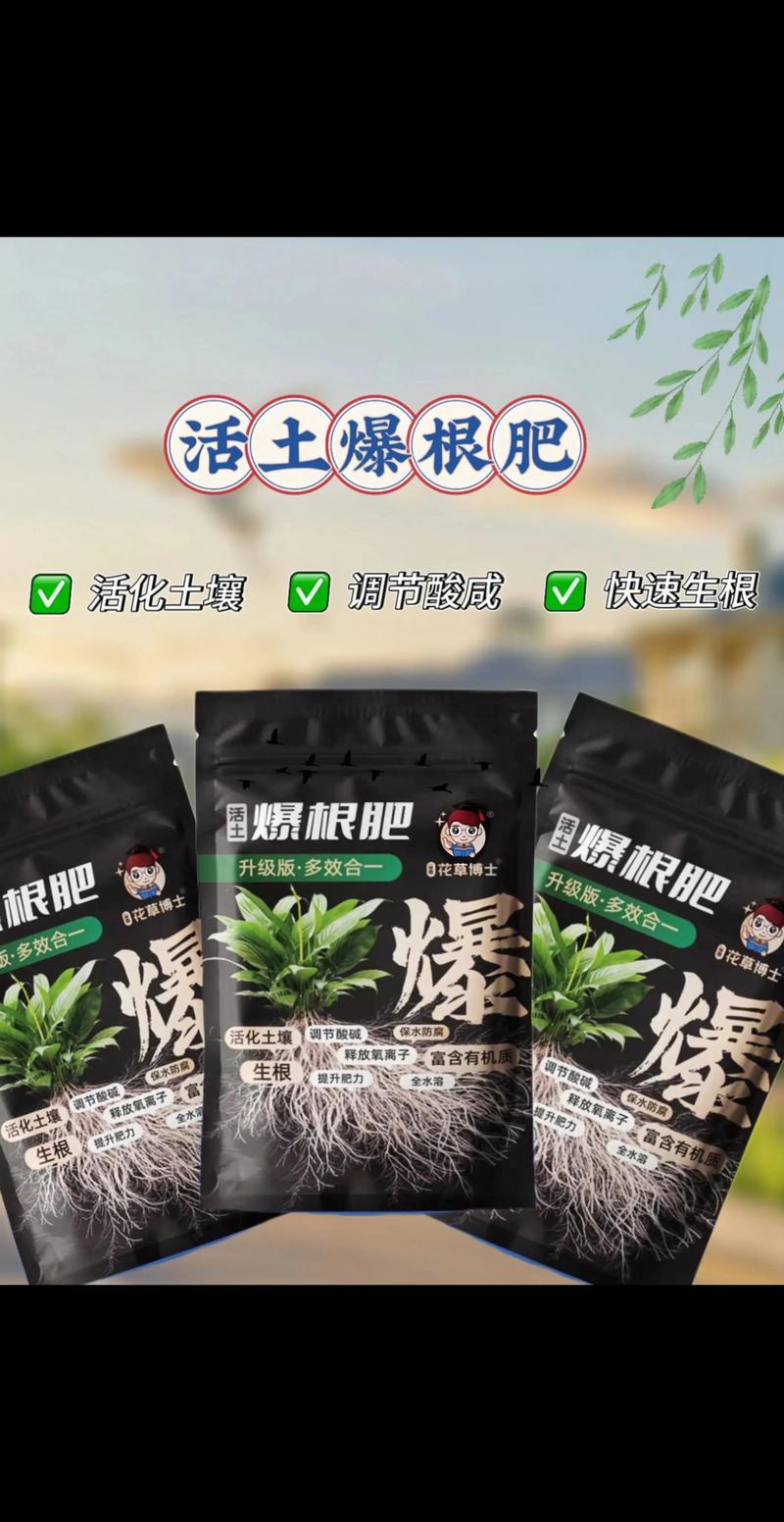 植物壮根用什么肥料?六个养护环节帮你养出强健根系 植物壮根用什么肥料?六个养护环节帮你养出强健根系