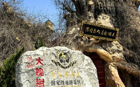 大槐树移民遗址位置与寻根祭祖指南