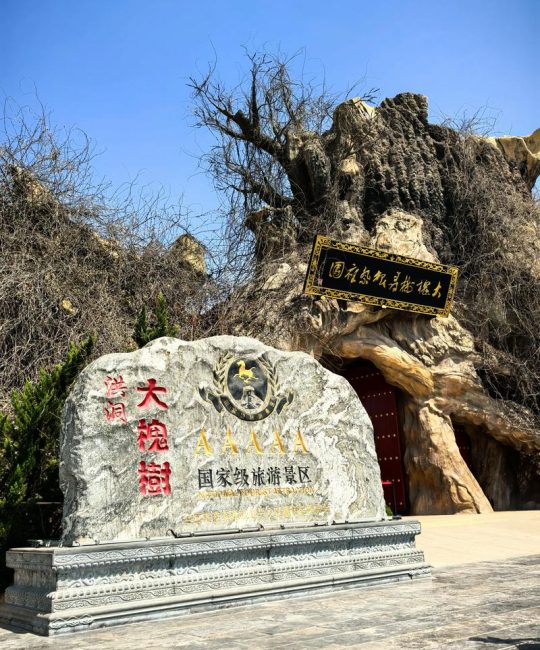 大槐树移民遗址位置与寻根祭祖指南