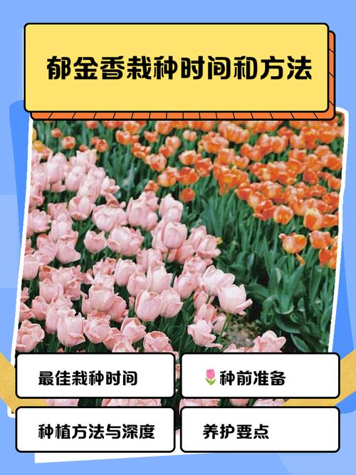 郁金香种苗多少钱?2025年最新价格指南与影响因素解析 8. 咨询指南:获取精准报价