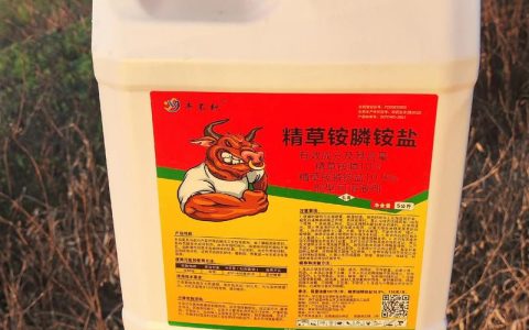 冬天打草甘膦除草剂有用吗？——基于植物生理学的冬季除草效果与地域化指南