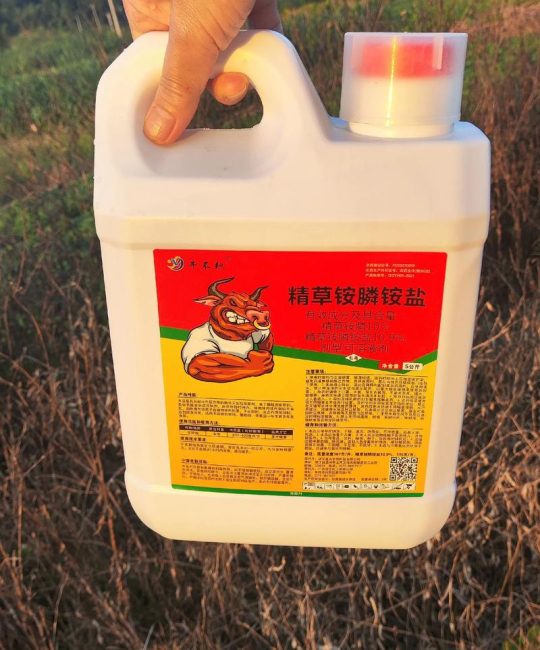 冬天打草甘膦除草剂有用吗？——基于植物生理学的冬季除草效果与地域化指南