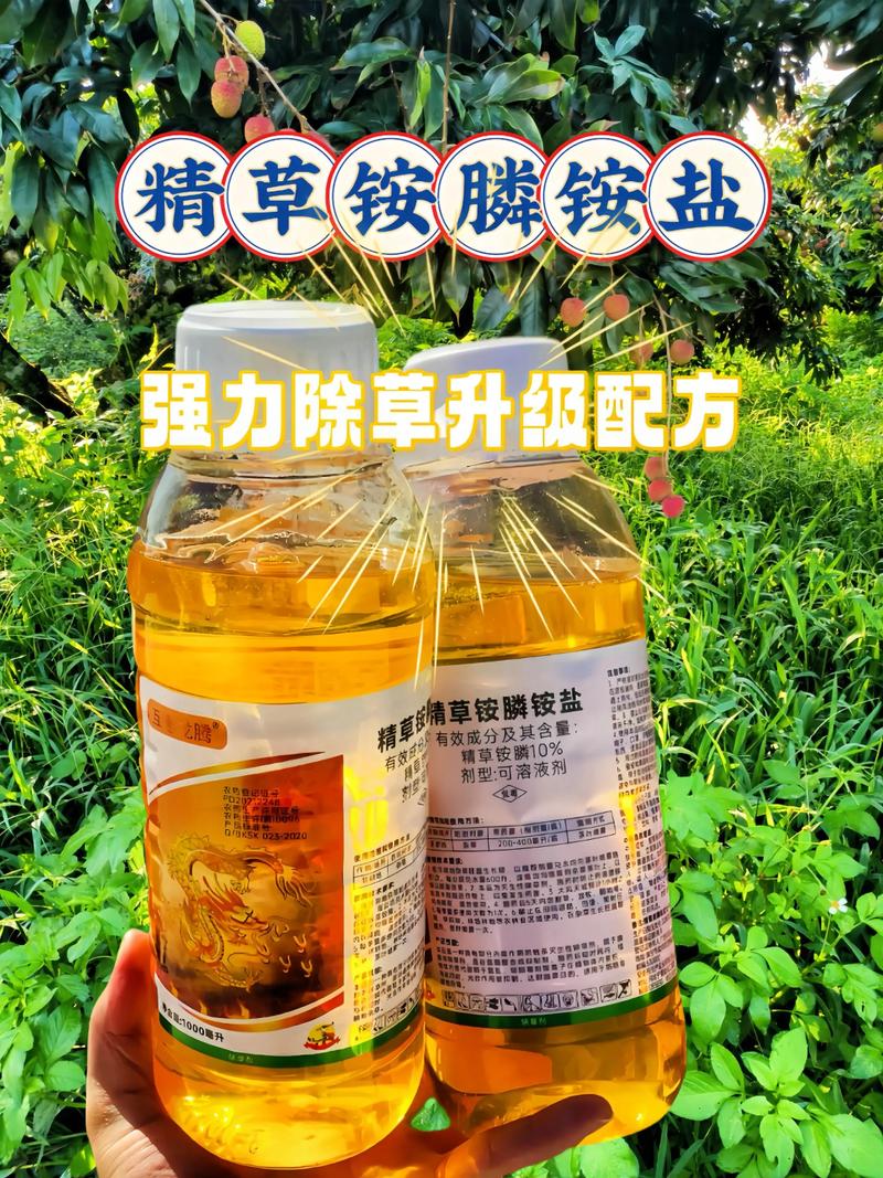 冬天打草甘膦除草剂有用吗?——基于植物生理学的冬季除草效果与地域化指南 四、光照与水分对冬季药效的影响