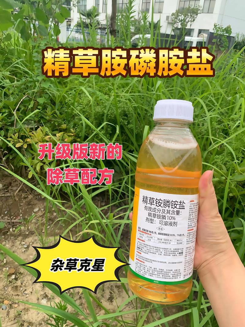 冬天打草甘膦除草剂有用吗?——基于植物生理学的冬季除草效果与地域化指南 六、总结:你该不该在冬天打草甘膦?