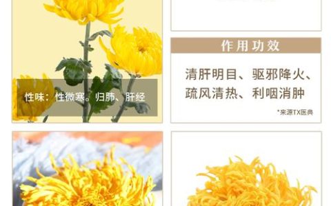 菊花的品质是什么？一文读懂菊花的品种特性、观赏价值与养护要点