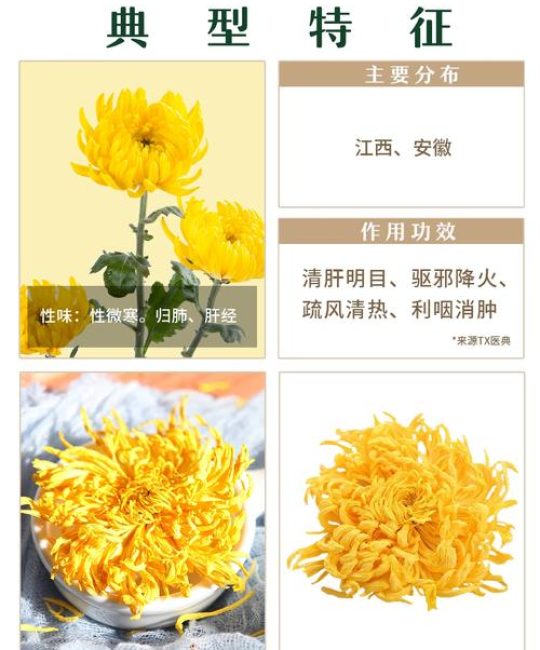 菊花的品质是什么？一文读懂菊花的品种特性、观赏价值与养护要点