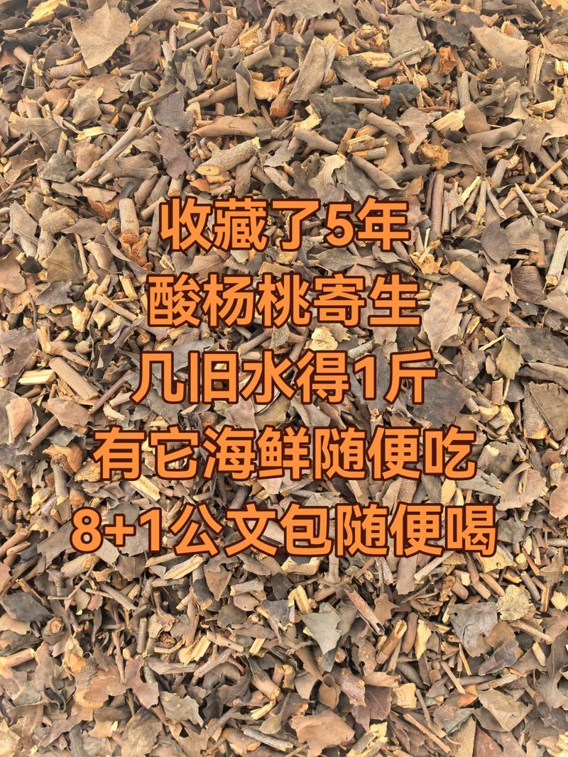 杨桃树寄生价格多少钱一斤?2026年最新市场参考价 产地:广东、广西、福建是主要产区,品质影响价格