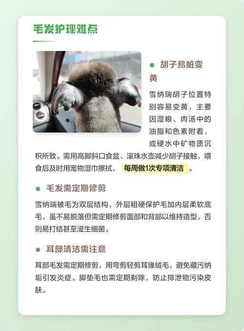 种植胡须:从选时到成活的全流程实用指南 七、成活注意事项