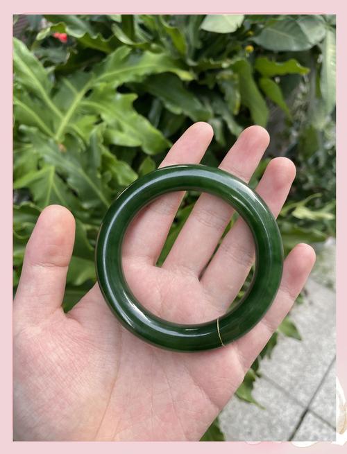 碧玉是一种什么玉?揭开园艺“碧玉”的神秘面纱 二、养护核心:模仿雨林微气候