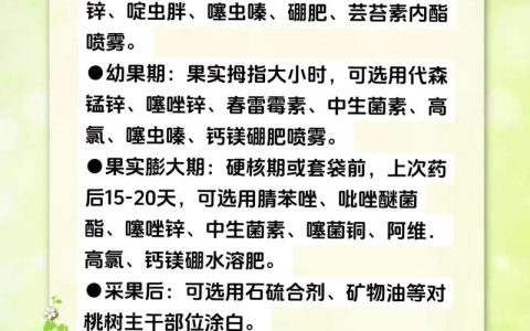 桃树施肥全攻略：掌握三大关键时期与核心配方，产量提高30%