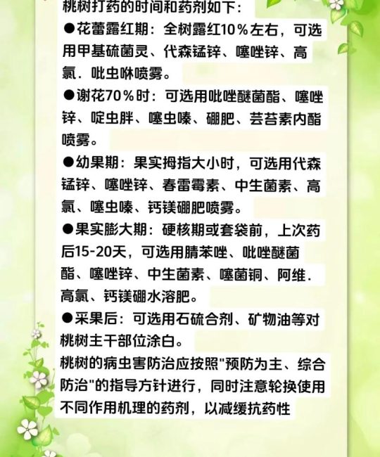 桃树施肥全攻略：掌握三大关键时期与核心配方，产量提高30%