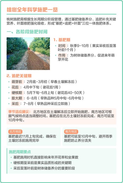 桃树施肥全攻略:掌握三大关键时期与核心配方,产量提高30% 一、桃树施肥必须以有机肥为基础,配合氮磷钾全营养配方