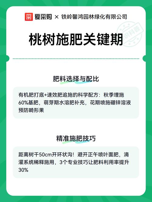 桃树施肥全攻略:掌握三大关键时期与核心配方,产量提高30% 总结验证