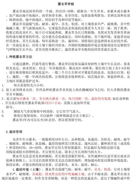 薰衣草怎么养殖和养护?家庭养护全指南 施肥:薄肥勤施,但忌高氮