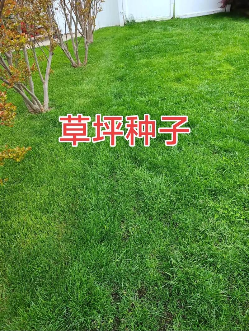 四类渠道怎么选