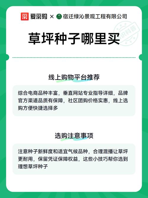 选品种比选渠道更关键