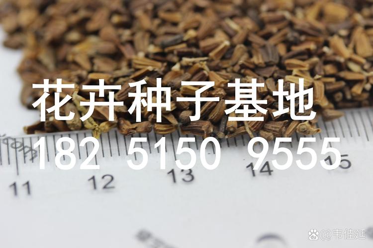 用三个步骤核查供应商