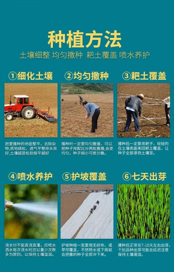 常见误区：避开这3个坑