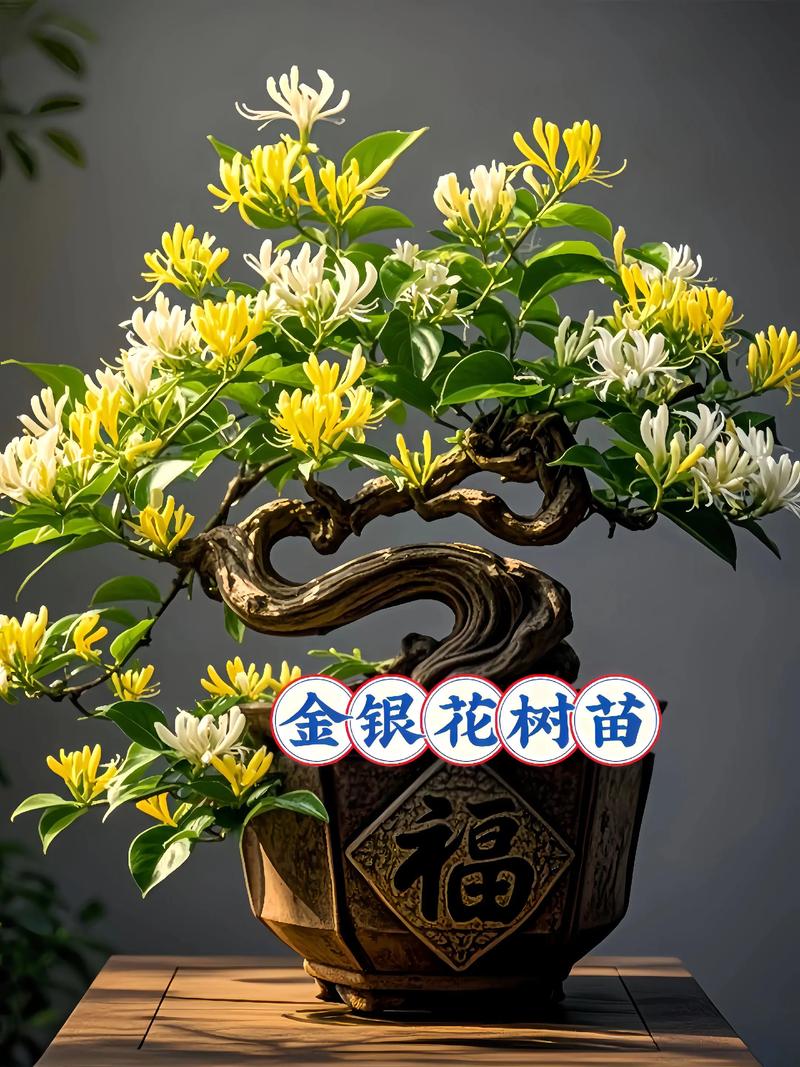 金银花适合家养吗?家庭盆栽养护全攻略 六、病虫害防治:防大于治