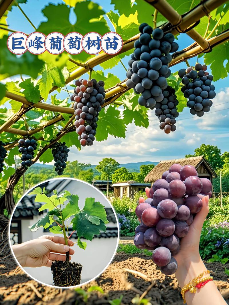 总结验证