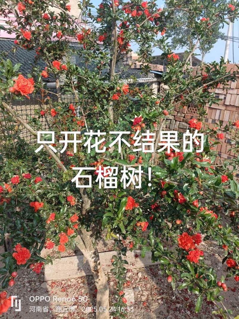 常见问题（FAQ）