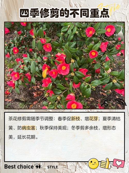 越冬越夏：冬季防寒保暖，夏季遮阴通风