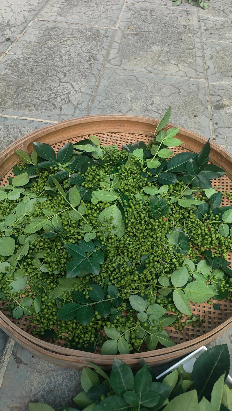 刚摘的花椒怎么晒干 刚摘的花椒怎么晒干