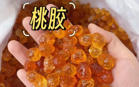 桃树出胶怎么治：刮净流胶、消毒涂药、修复树势三步处理