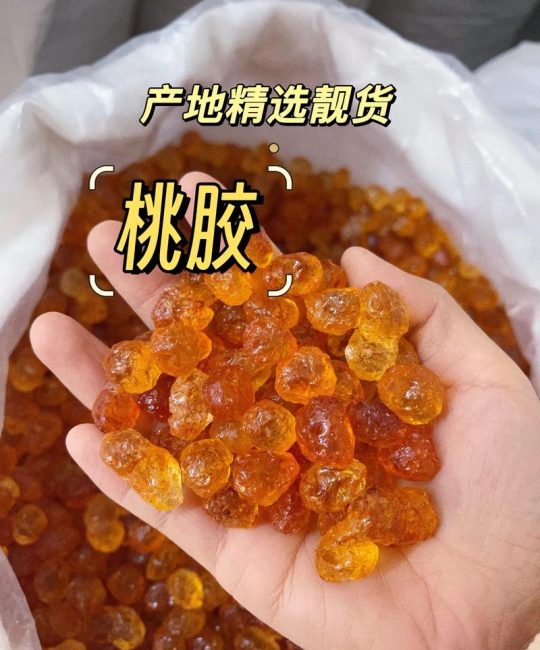桃树出胶怎么治：刮净流胶、消毒涂药、修复树势三步处理