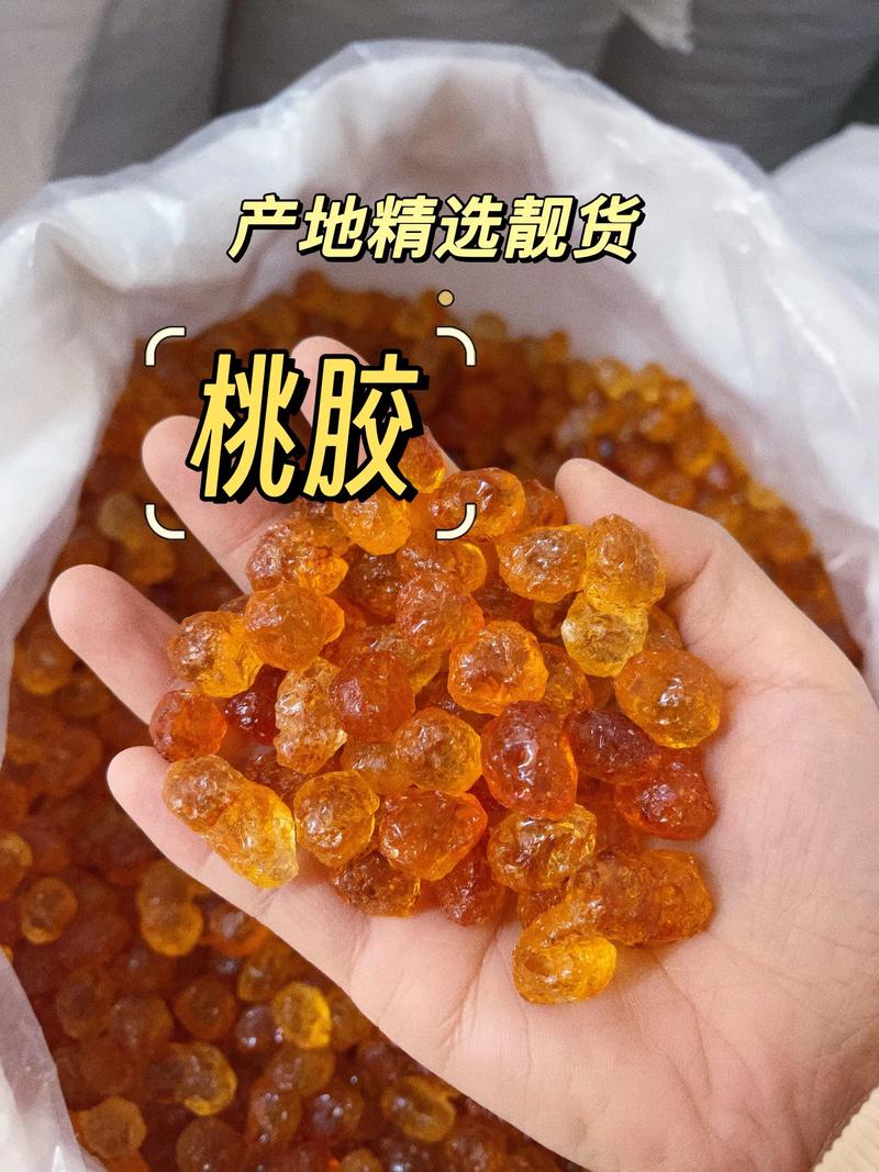 桃树出胶怎么治:刮净流胶、消毒涂药、修复树势三步处理 桃树出胶怎么治:刮净流胶、消毒涂药、修复树势三步处理