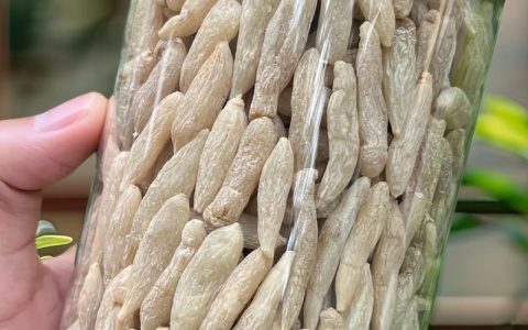 川麦冬和山麦冬的区别：从外形到药效的全面对比