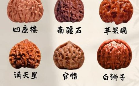 什么品种核桃好？2026年主流核桃品种对比与选购指南