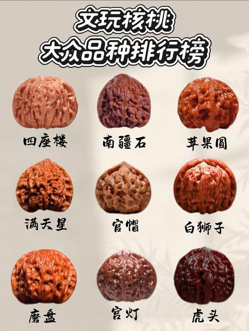 什么品种核桃好?2026年主流核桃品种对比与选购指南 什么品种核桃好?2026年主流核桃品种对比与选购指南