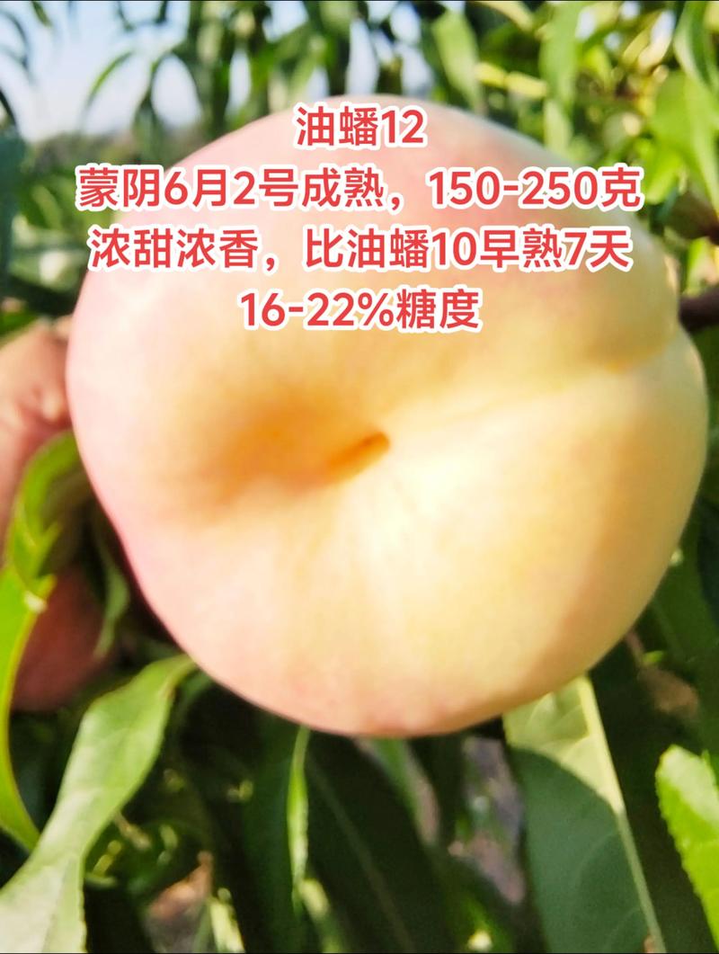 四、总结