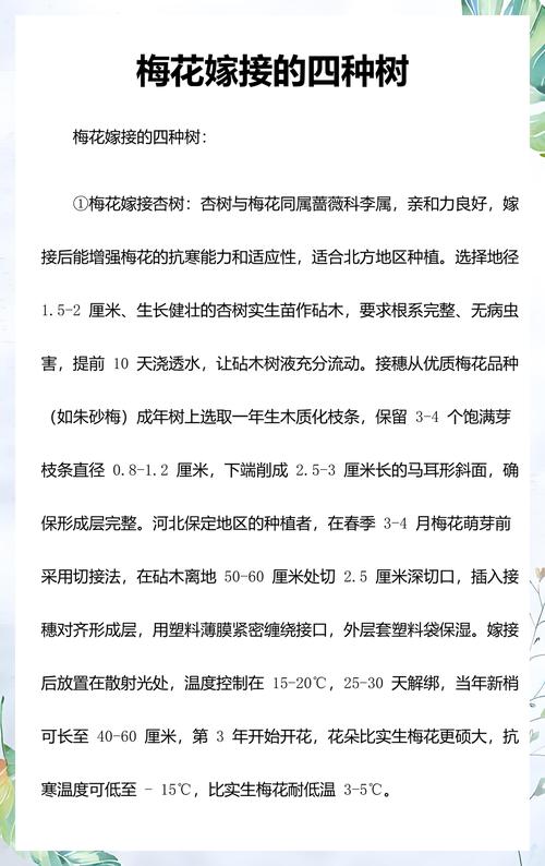常见失败案例与诊断流程