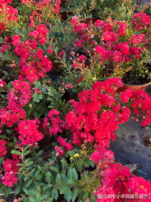 三、季节波动需关注