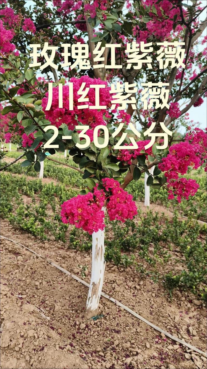 五、运输成本占比10%-30%