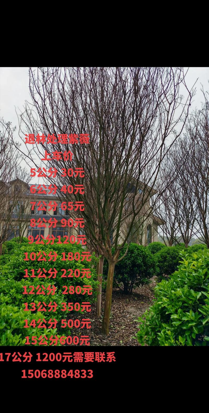 综合价格参考表（2026年）