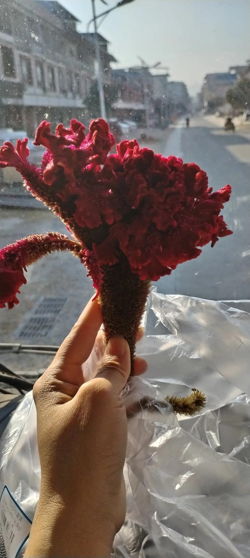 季节对价格的影响（影响因素：季节）