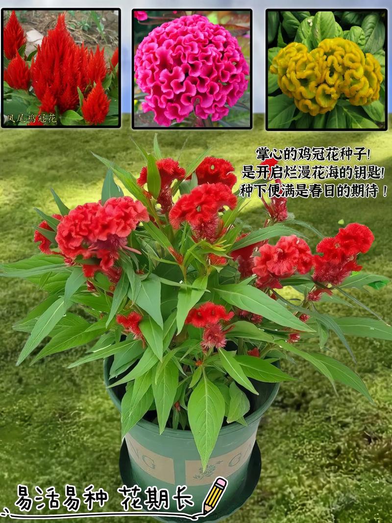 咨询指南：如何获取真实报价