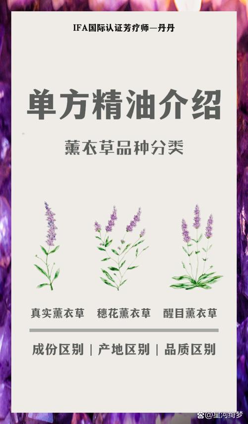 光照与水肥精准方案