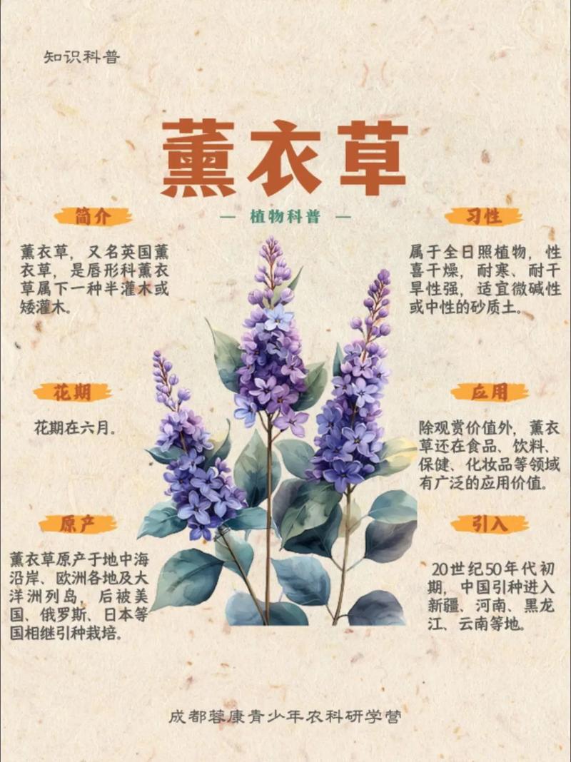 修剪促花系统指导
