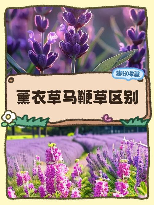常见误区与纠正