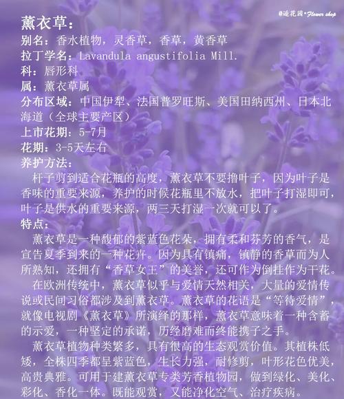 总结