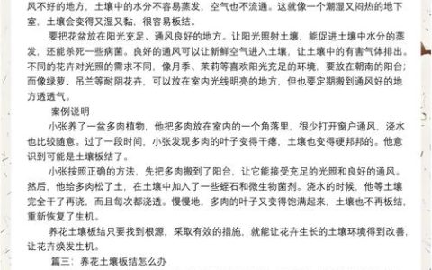 家庭盆栽土壤板结怎么办？科学浇水与养护全指南
