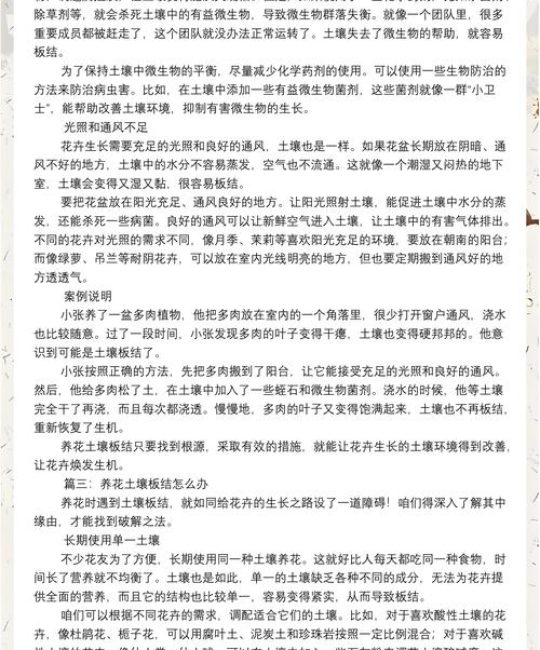 家庭盆栽土壤板结怎么办？科学浇水与养护全指南