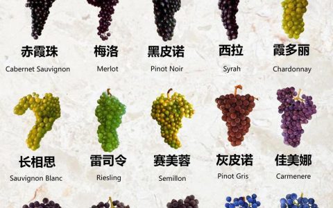 葡萄种植一亩产量多少斤？鲜食与酿酒品种2026年数据详解