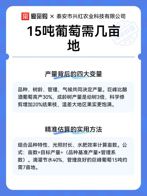 葡萄种植一亩产量多少斤?鲜食与酿酒品种2026年数据详解 种植常见问题提醒
