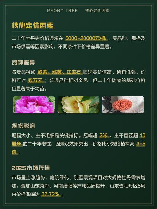 上和树多少钱?2025年最新价格参考与影响因素分析 运输因素:物流成本占总价的10%-30%
